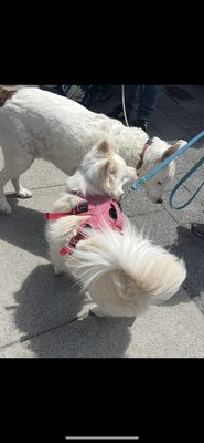 Noe Valley Farmers Market by null