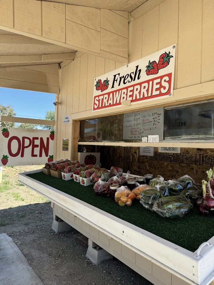 Chip's Strawberry Farm