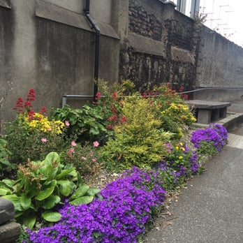 St. Michans Church - Life blooms - Churches Near Me - Dublin, D
