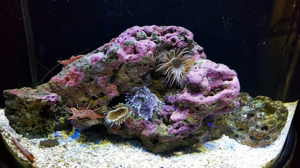 Underwater World Langkawi by null