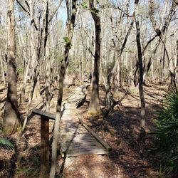 Gar Pond Trail - Jacob's Crossing Bridge