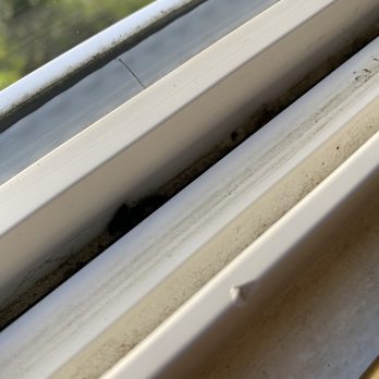 Glass With Class - More flies... - Window Washing Near Me - Rohnert Park, California Glass With Class - More flies... - Window Washing Near Me - Rohnert Park, California