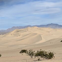 Dumont Dunes