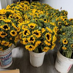 Juquilita Flowers Shop - Girasoles por bonche o individual