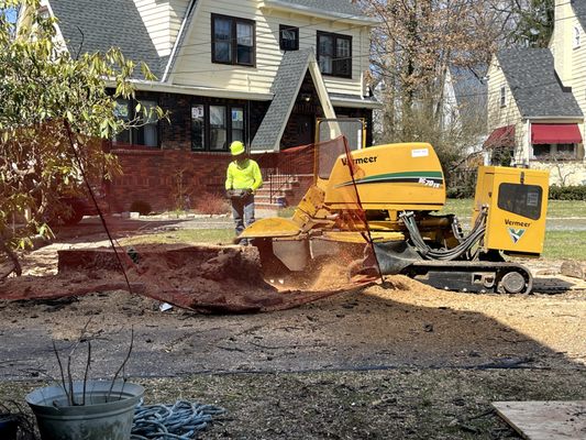 BERNIE TREE SERVICE - Updated March 2025 - 150 Photos - Montville, New ...