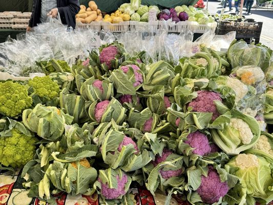 Hayward Farmers Market by null