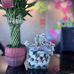 The Joint Chiropractic