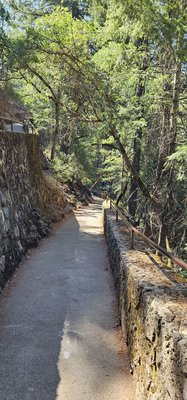 Burney Falls by null