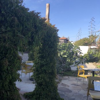 Manzanilla - Great Garden Entrance/ Patio - Mexican Near Me - Ensenada, BCN Manzanilla - Great Garden Entrance/ Patio - Mexican Near Me - Ensenada, BCN
