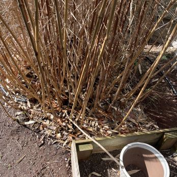 Align Yard Care Services - Leaves after cleaning twice - Lawn Services Near Me - Seattle, Washington Align Yard Care Services - Leaves after cleaning twice - Lawn Services Near Me - Seattle, Washington