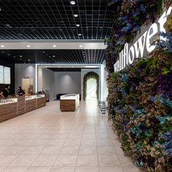 Wallflower Cannabis House - Wallflower Cannabis Dispensary in Las Vegas, NV