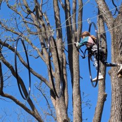 Boundless Adventures - My 13yo on the black level course