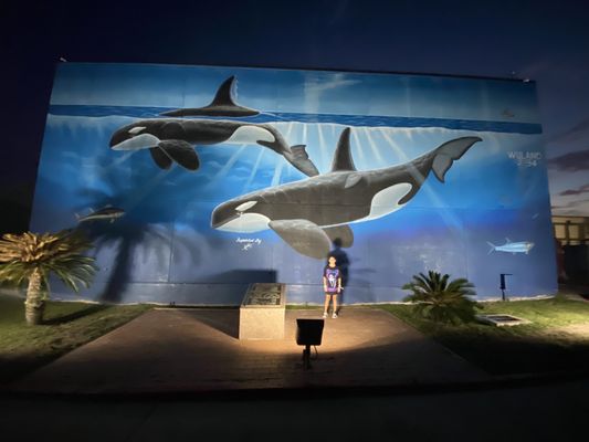 Laguna Madre Nature Trail by null