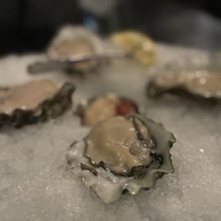 Lucky Fins Seafood Grill - Oysters - MP (market price $3.25 each)