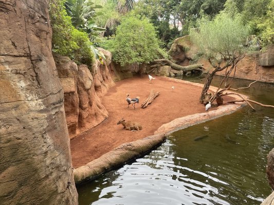 Bioparc Fuengirola by null