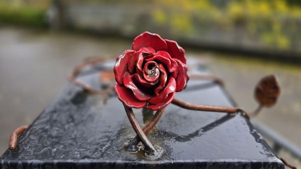 International Rose Test Garden by null