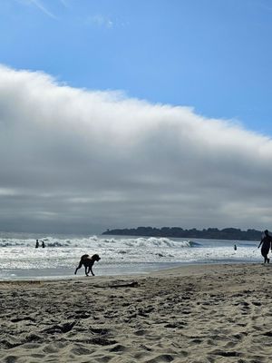 Stinson Beach by null
