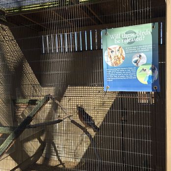 World Bird Sanctuary - It's so cool to see the birds and learning so much about them - Parks Near Me - Valley Park, Missouri