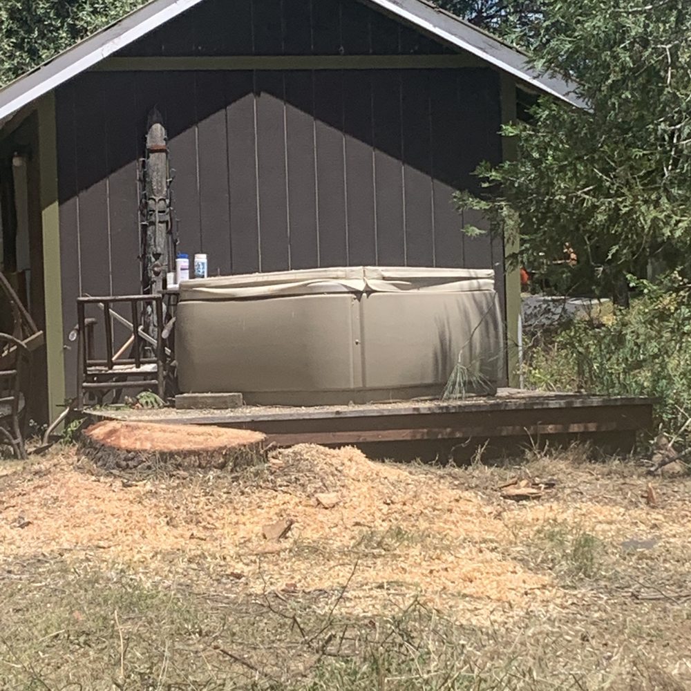 Mountain Air Land Management - The stump. Excellent work! - Tree Services Near Me