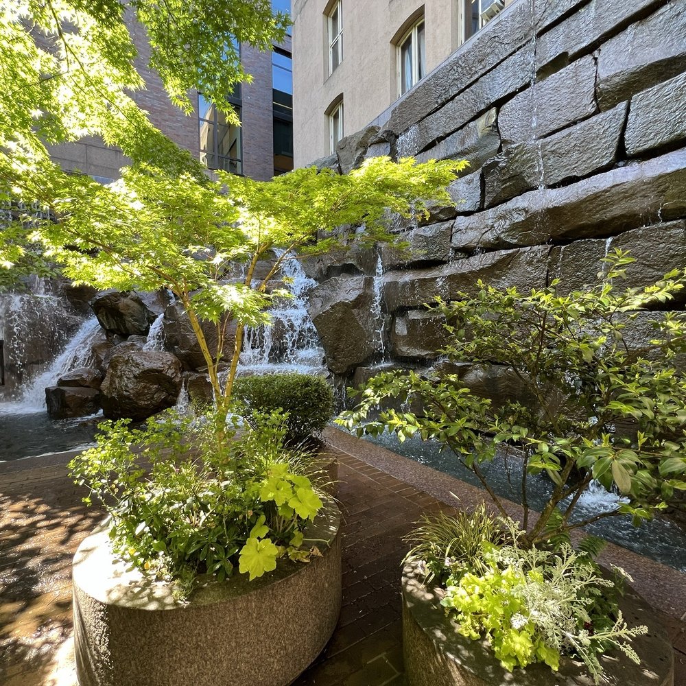 Waterfall Garden - Parks Near Me - Seattle, Washington Waterfall Garden - Parks Near Me - Seattle, Washington