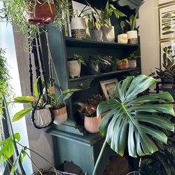 Forage and Cultivate