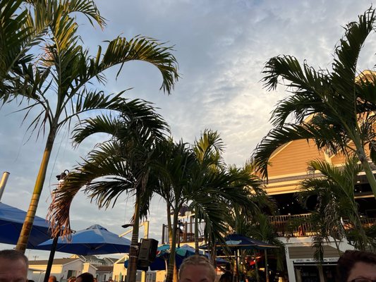 BLU Crabhouse & Raw Bar by null