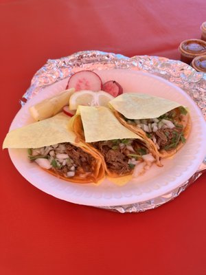 Birrieria GMZ by null