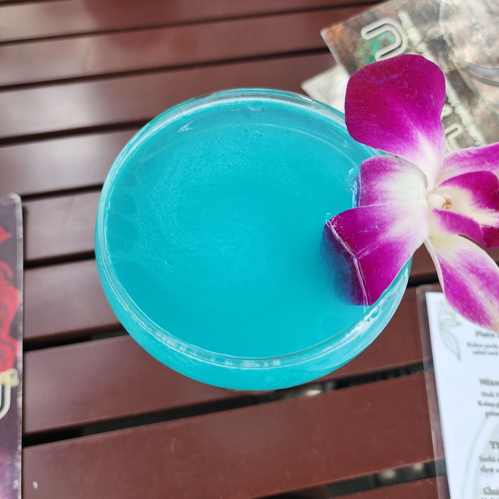 The Honu - Hawaiian Near Me - Dunedin, Florida