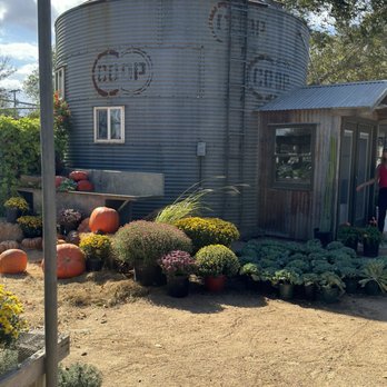 The Garden Company - Desserts Near Me - Schulenburg, Texas The Garden Company - Desserts Near Me - Schulenburg, Texas