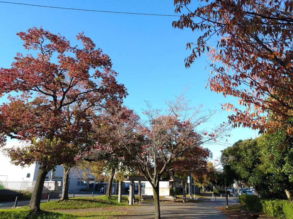 Futoo Zutsumi Green Way