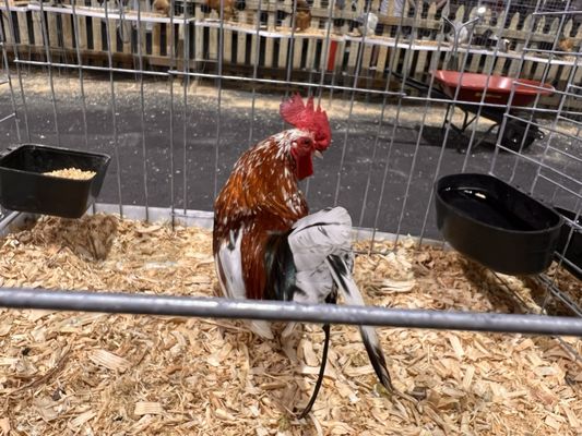 Miami-Dade County Fair & Exposition, Inc. by null