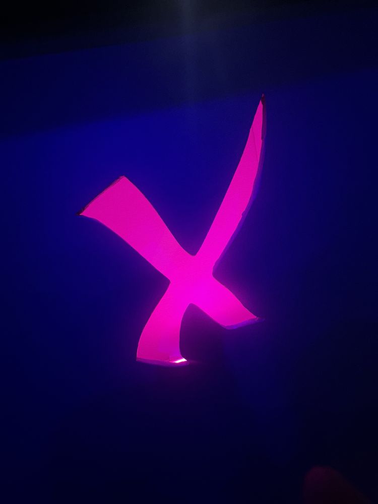FlowX Tattoo Logo