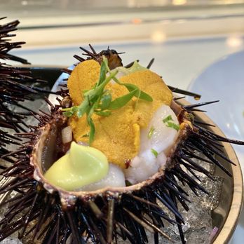 Holbox - Live urchin & scallop ceviche - Latin American Near Me - Los Angeles, California