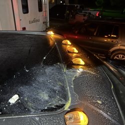 Enchanted Shores - Egged $70K truck (arguably the nicest truck in the dump)