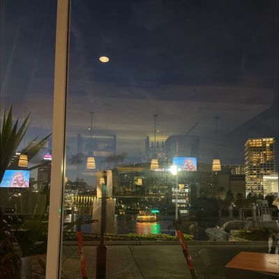 Watervue Grille- Downtown Tampa- Harbour Island by null