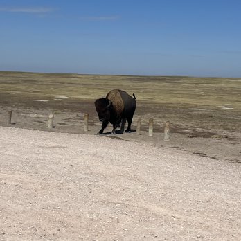 Badlands National Park - Parks Near Me - Interior, South Dakota