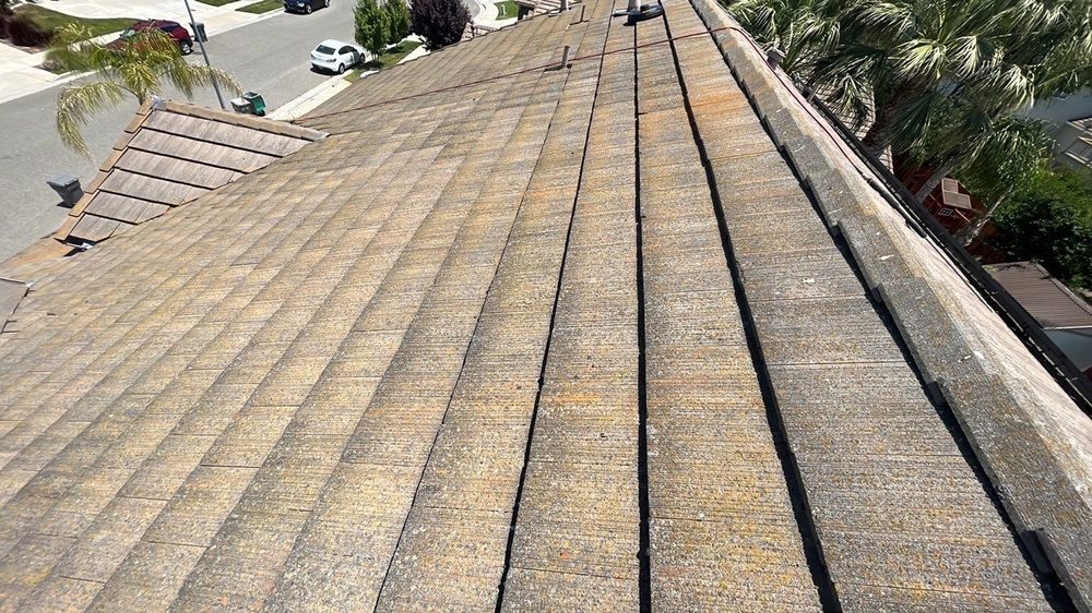 Slide of Hire Mikey's