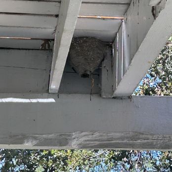 Bee Craft Handyman Service - Pest Control Near Me