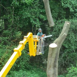 JM Tree team using crane to lift tree (in pieces) over house