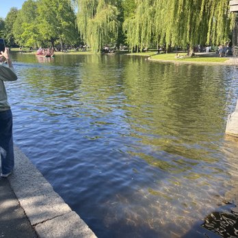 Boston Public Garden - The pond - Parks Near Me - Boston, Massachusetts Boston Public Garden - The pond - Parks Near Me - Boston, Massachusetts