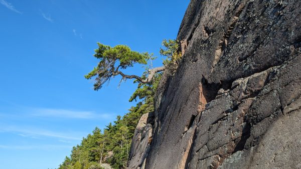 Killarney Provincial Park by null