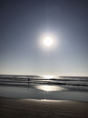 Black's Beach by null
