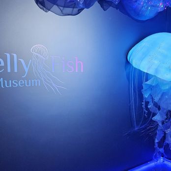 Jellyfish Museum - Jellyfish structure - Museums Near Me - Pompano Beach, Florida Jellyfish Museum - Jellyfish structure - Museums Near Me - Pompano Beach, Florida