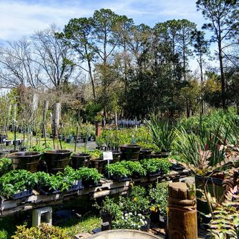 Maas Nursery - Plants - Nurseries & Gardening Near Me - Seabrook, Texas