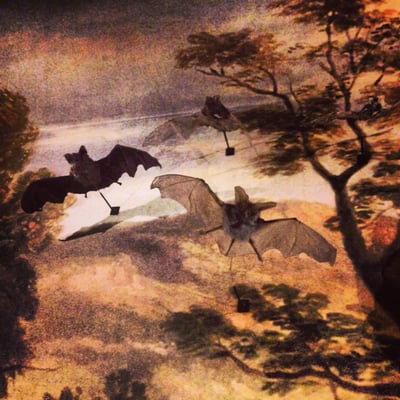 Manchester Museum by null