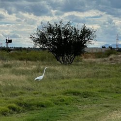 San Pedro Golf Course