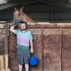 Kj Performance Horses