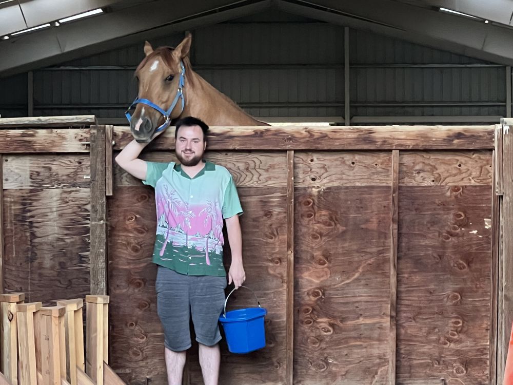 Kj Performance Horses - equestrian in Salt Lake City, UT