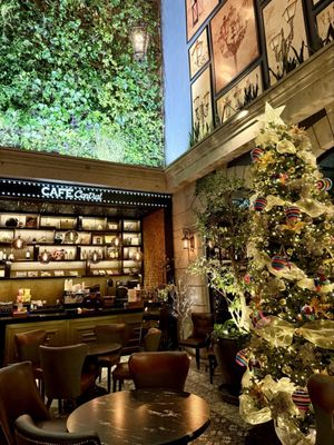 Zócalo Central Hotel by null