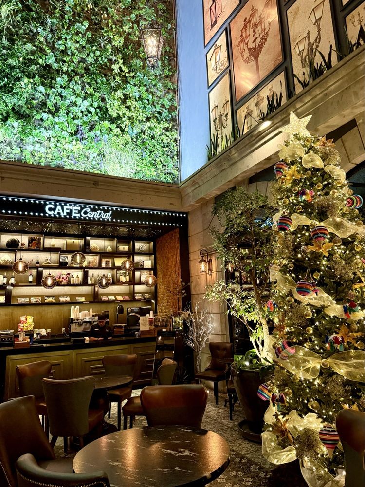 Hotel Zocalo Central